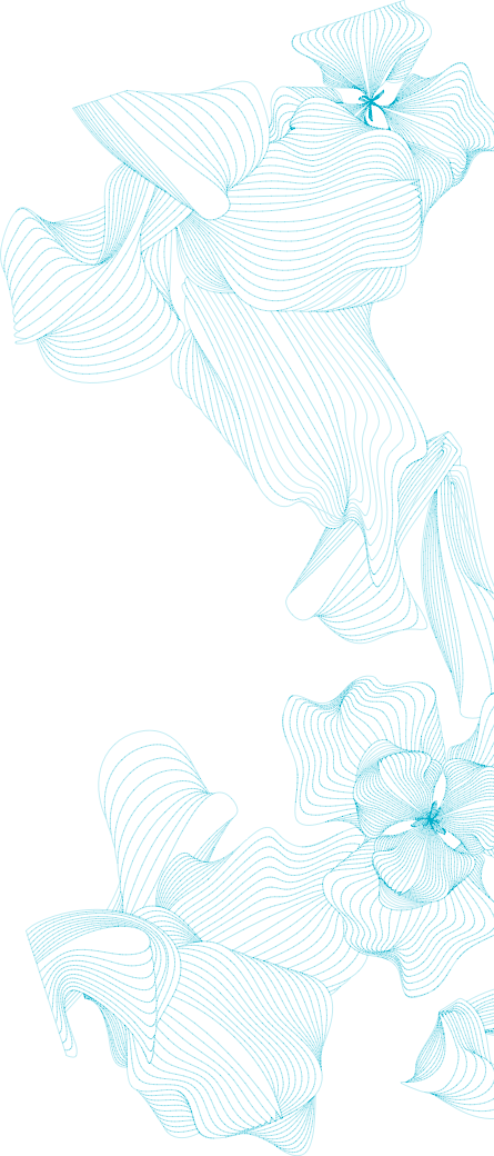 lace